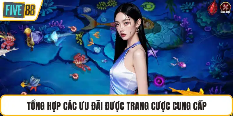Tổng hợp các ưu đãi được trang cược cung cấp