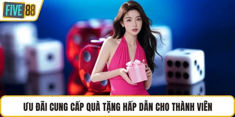 Ưu đãi cung cấp quà tặng hấp dẫn cho thành viên
